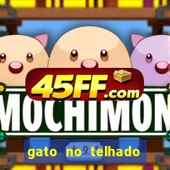 gato no telhado significado espiritual